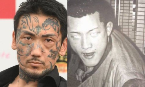 川乌 草乌功效与作用及禁忌网川乌草乌的区别附图片知识网站,分享川乌草乌的用法用量和使用注意大全